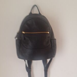 Frye Dark Leather Backpack with Gold Zipper